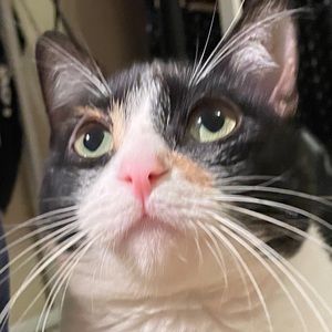 Meet your Posher, Ky